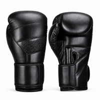 Gants de Boxe Polyvalent