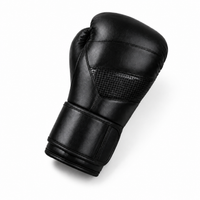 Gants de Boxe Polyvalent
