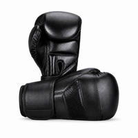 Gants de Boxe Polyvalent