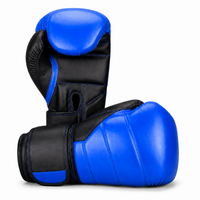 Gants de Boxe Polyvalent