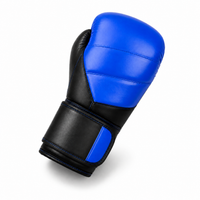 Gants de Boxe Polyvalent