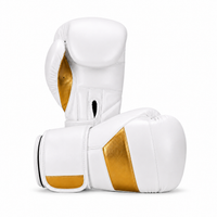 Gants de Boxe Polyvalent