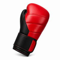 Gants de Boxe Polyvalent