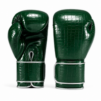 Gants de Boxe Sparring