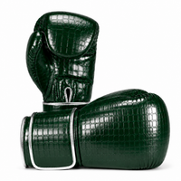 Gants de Boxe Sparring