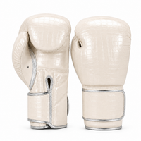 Gants de Boxe Sparring